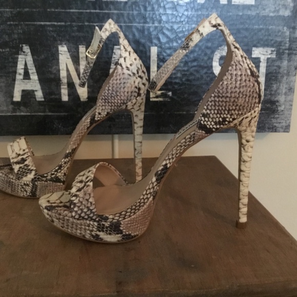 Steve Madden Snake Skin Heels - Picture 5 of 10